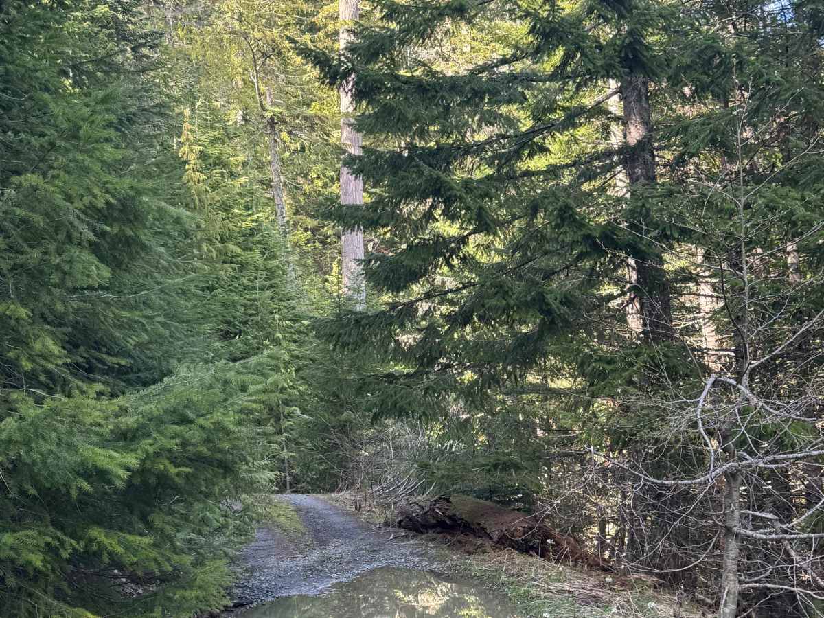Winston Road- FS 7415 photo 3
