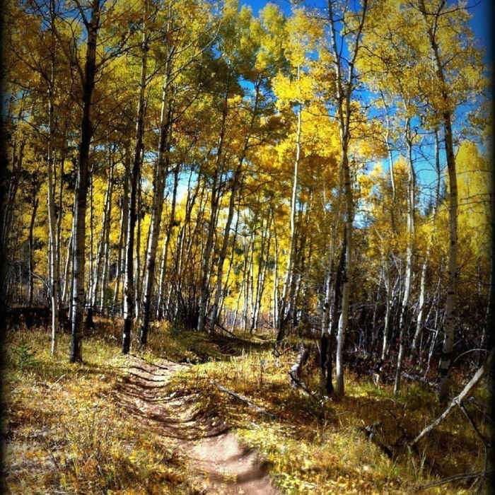 Near Green Mountain Trail