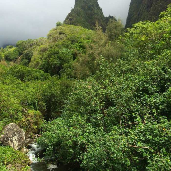 The Iao Needle itself. Near Iao Valley State Park