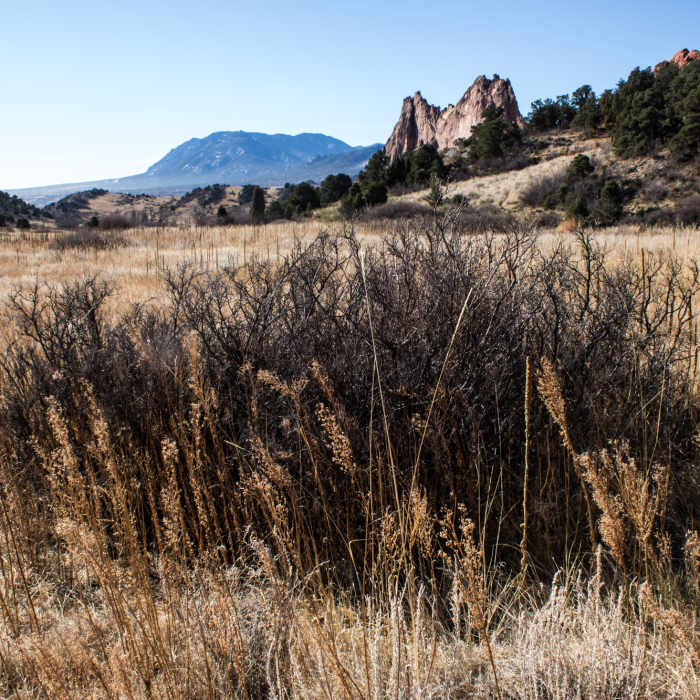 Near Susan G. Bretag Trail