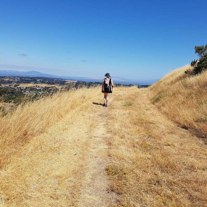 Near Old Nimitz Way/Green Ridge Trail