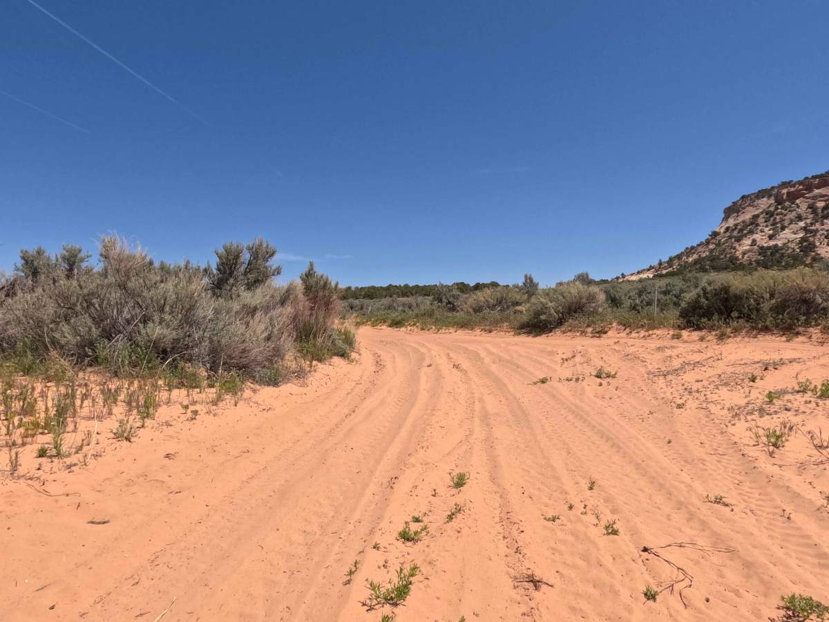 BLM 15 photo 2