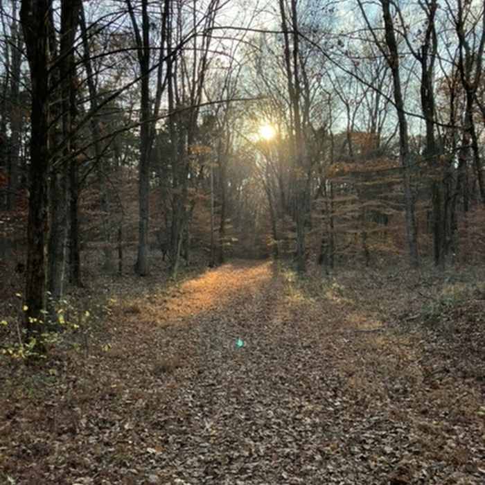 November Sunset Near Buffalo Creek - Collie Ridge - Mill Branch Trails