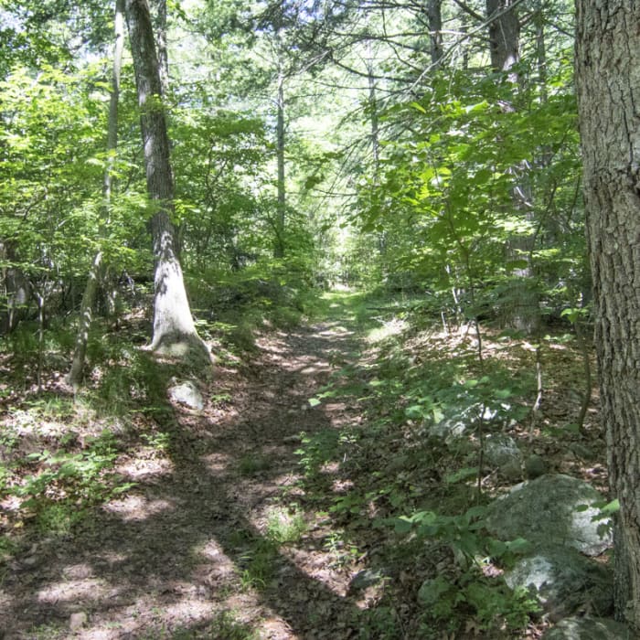 Near Sterling Fire Tower