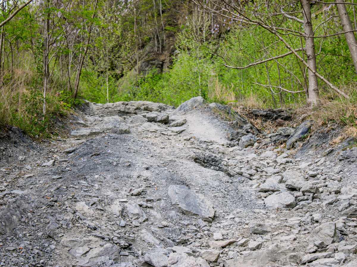 S8 Trail photo 2