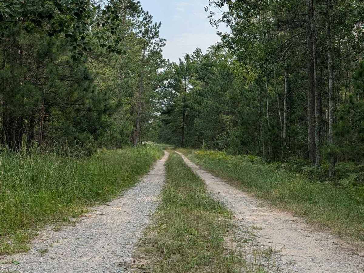 McCardle- FS 4409 trail photo