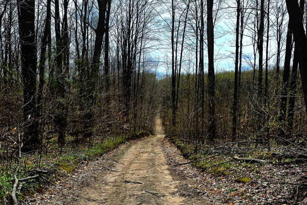 Gillette Road 
