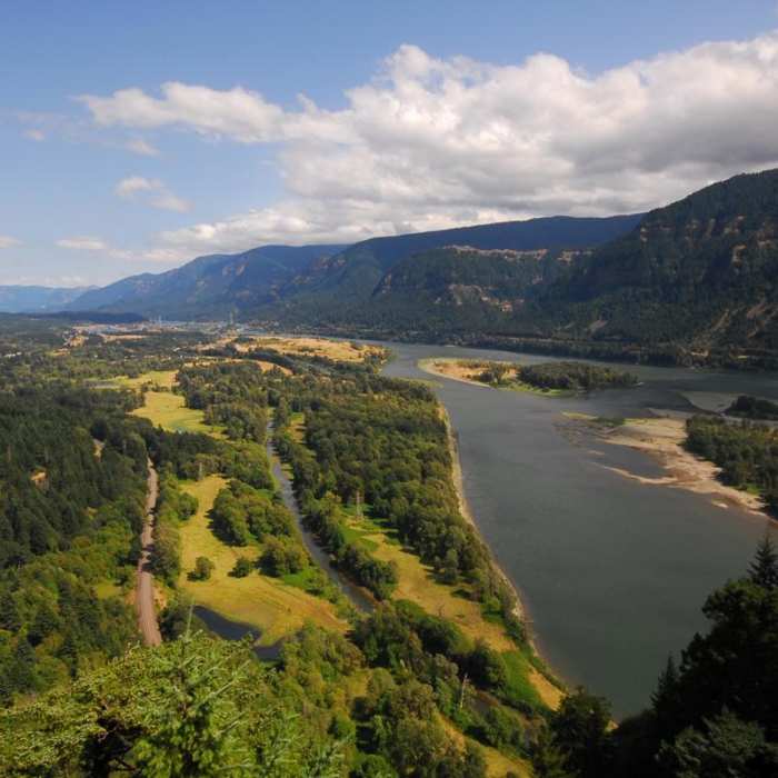 Near Beacon Rock Summit Trail