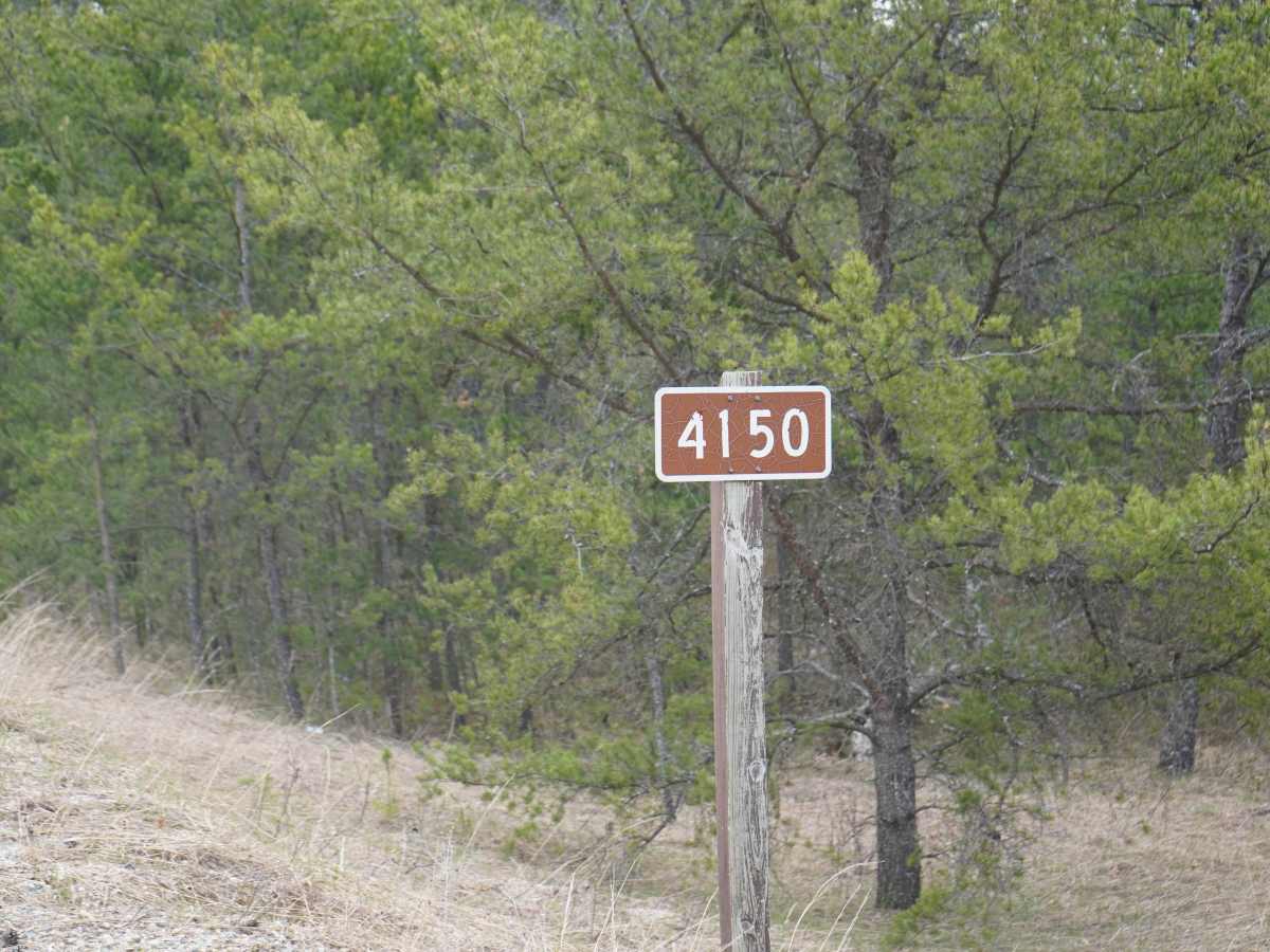 Watson Road photo 6