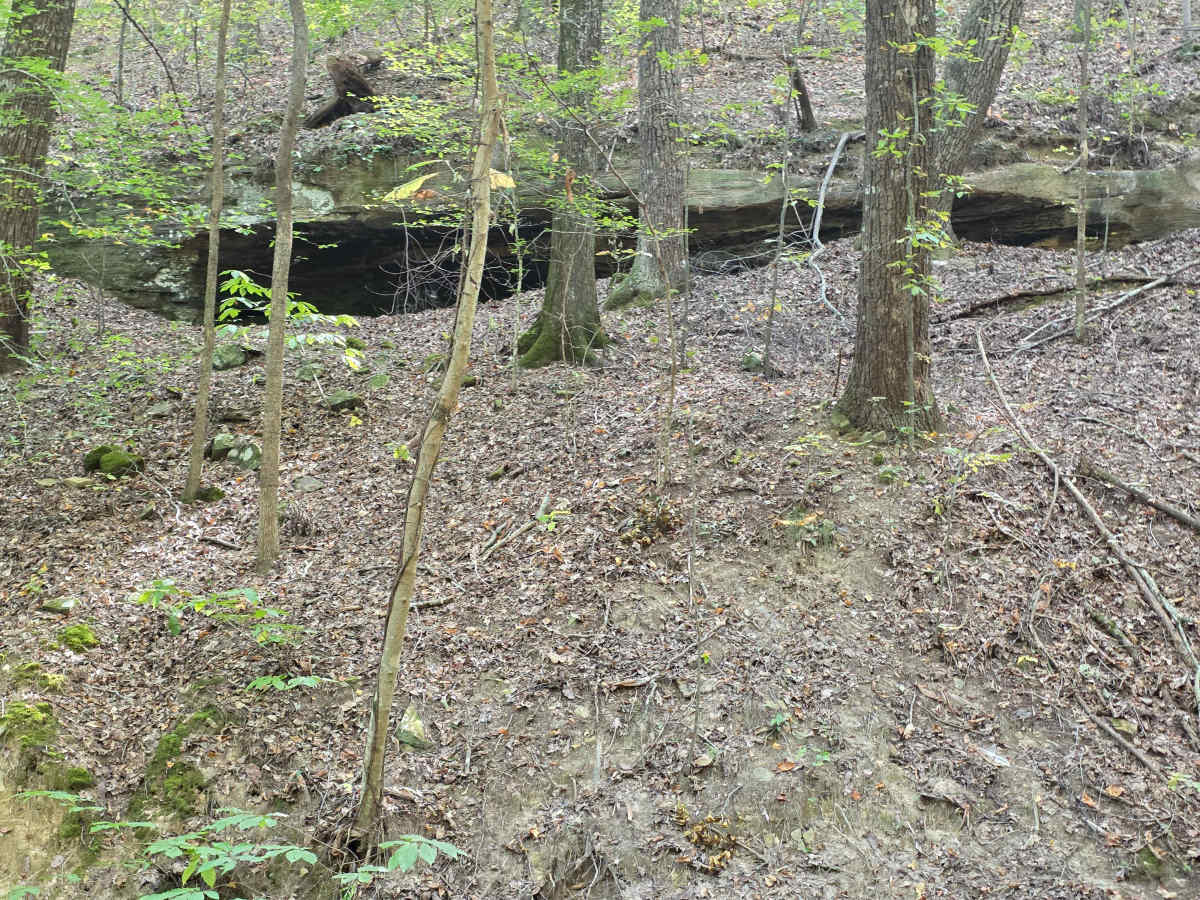 Hardwood Hollow photo 5