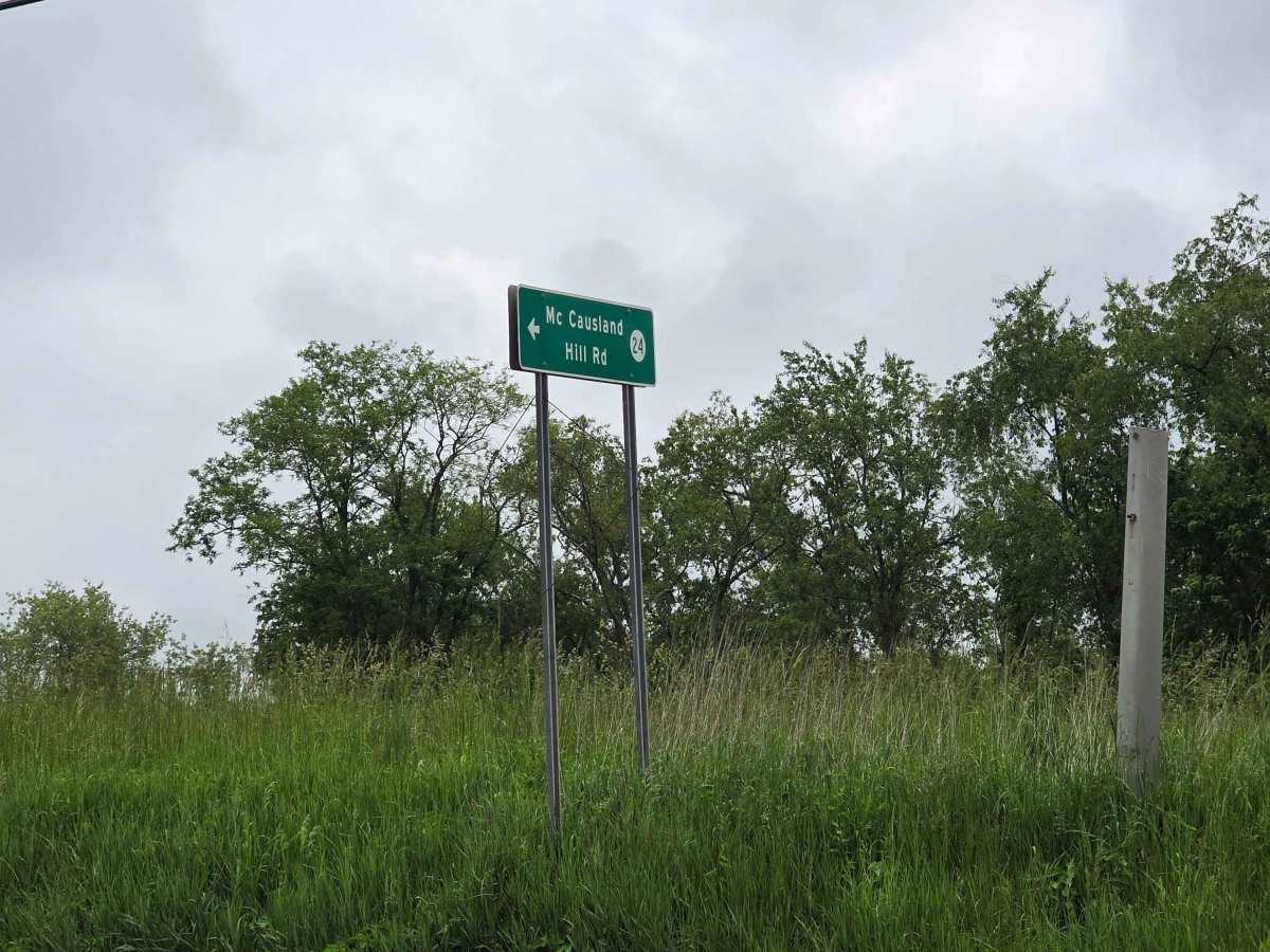 McCausland Hill Road trail photo