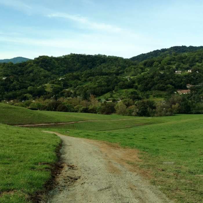 Near North Ridge Trail