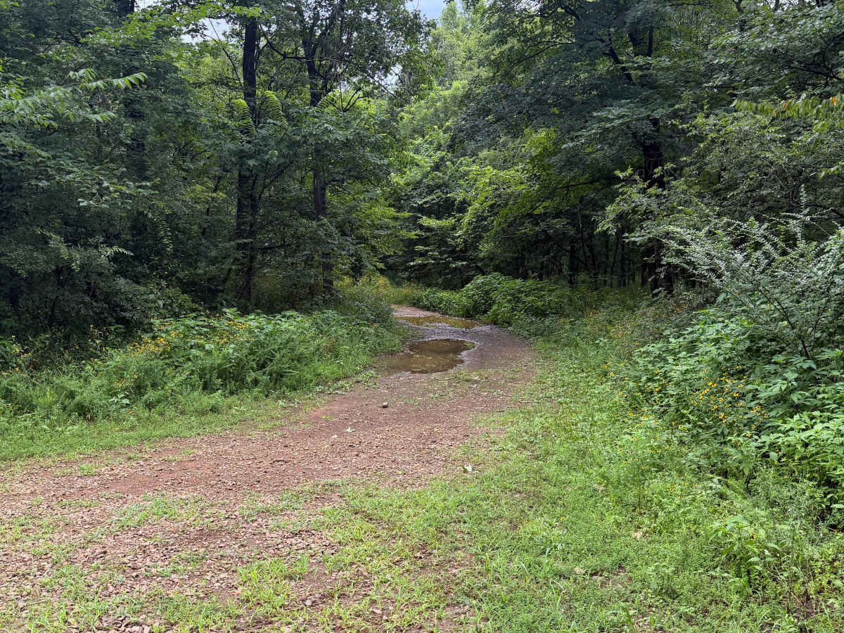 Creek Bed Drive - FS 93023 trail photo