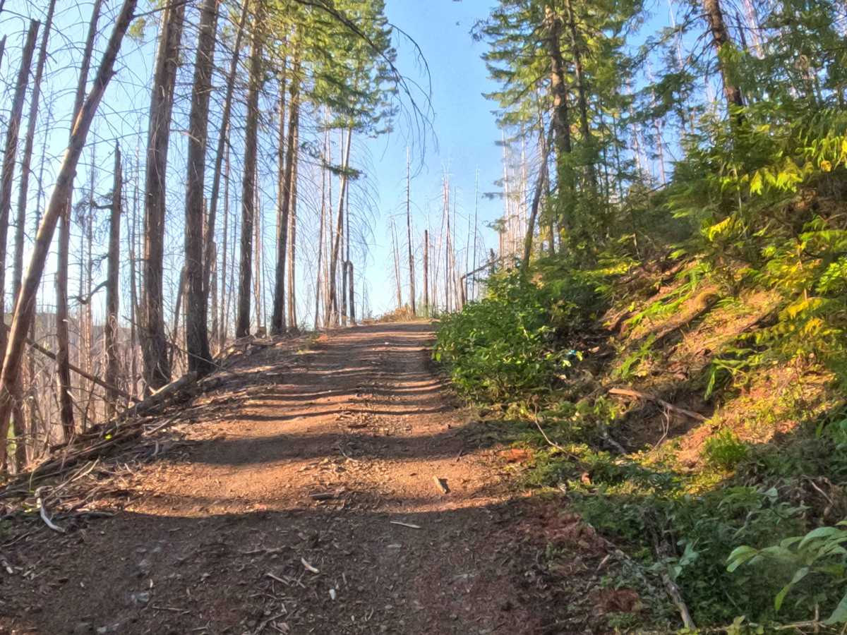 Upper Hawkins - FS 2236000 photo 4