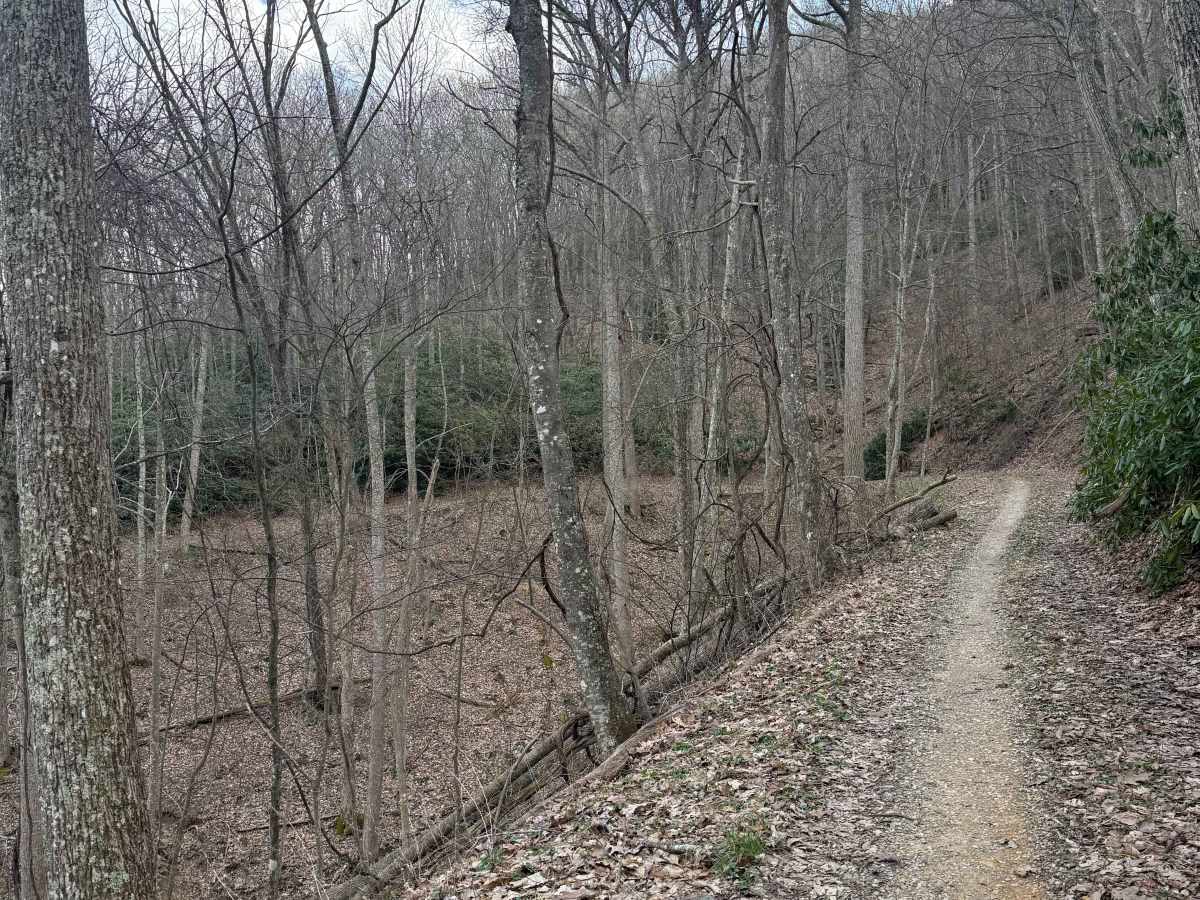 Quarter Branch Road photo 3