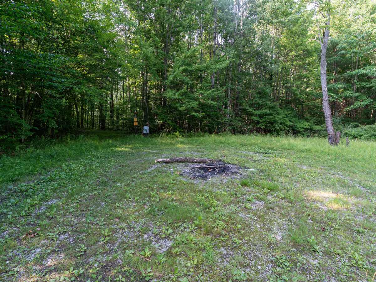 Ebert Road photo 3