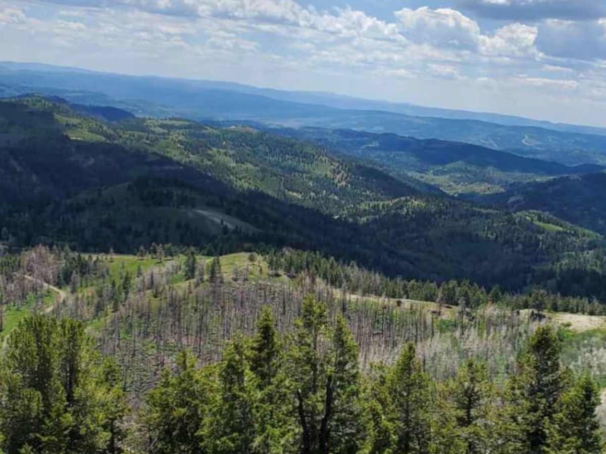 White River Loop trail photo
