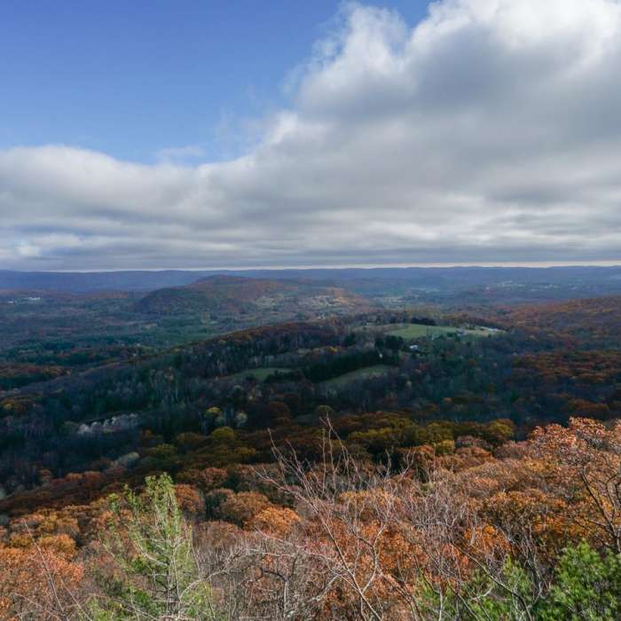 Near Lion's Head Near Lion's Head