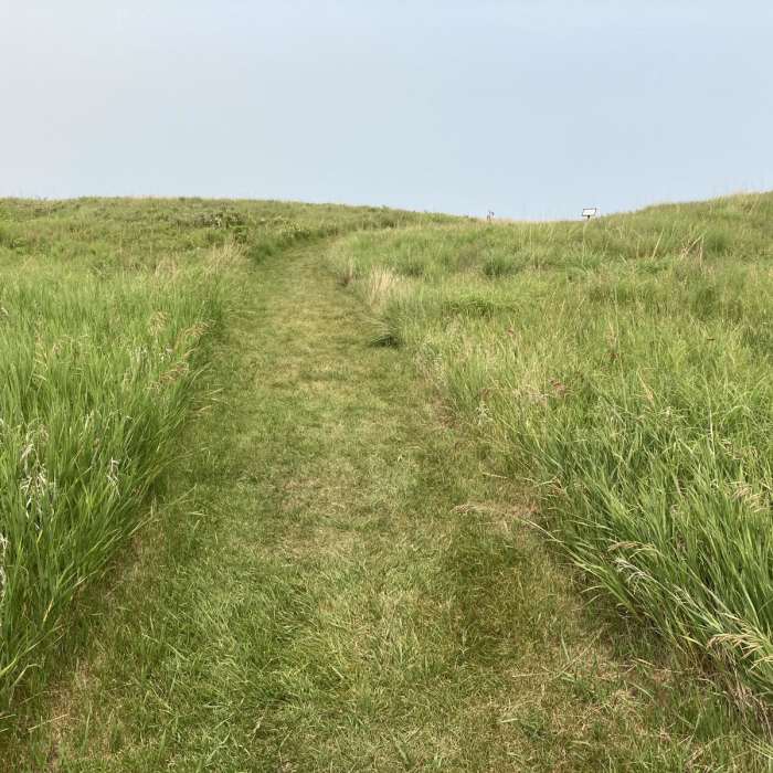 Near Buffalo River State Park Hiking Club Trail