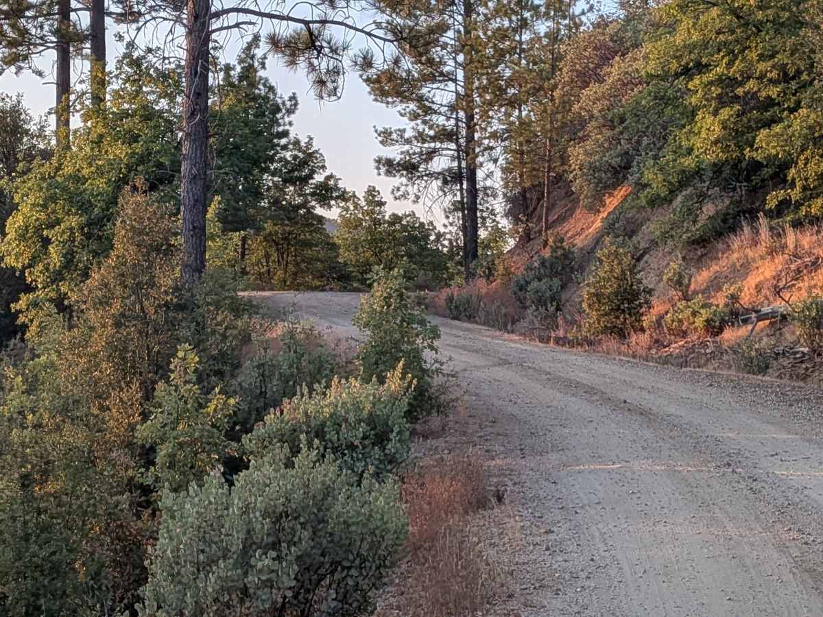 Pilot Ridge - FS 1S14 trail photo
