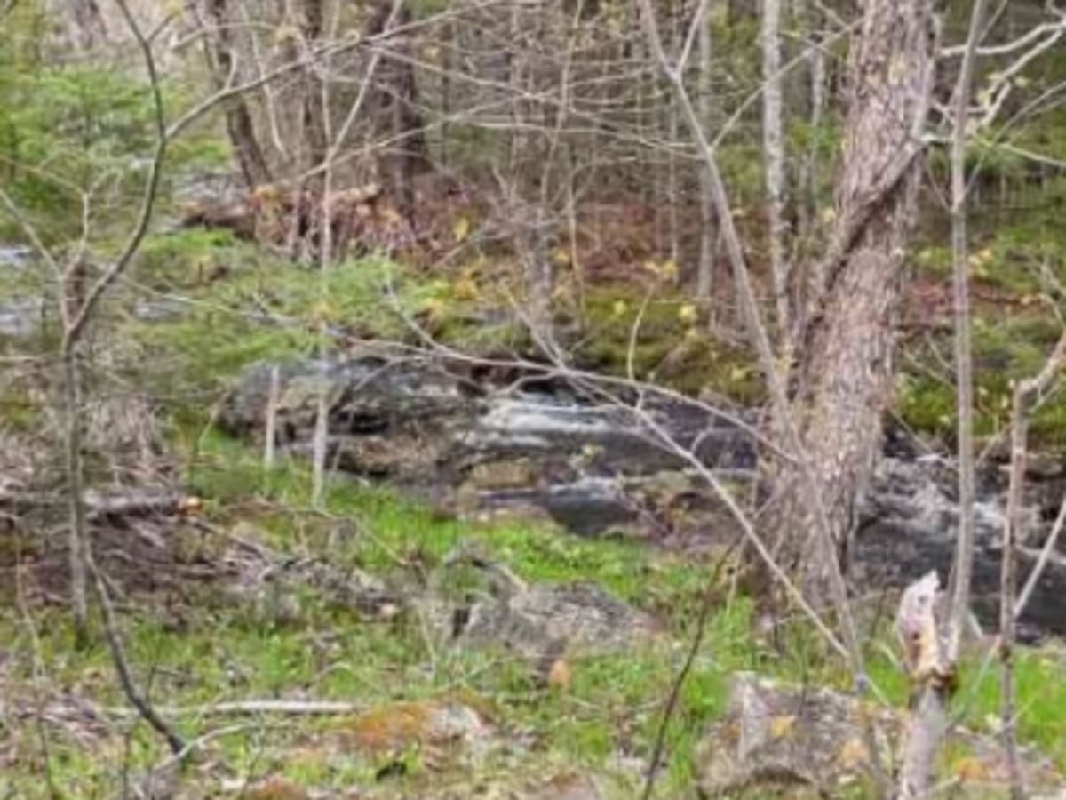 Sandy Lake Road to Golden Lake photo 5