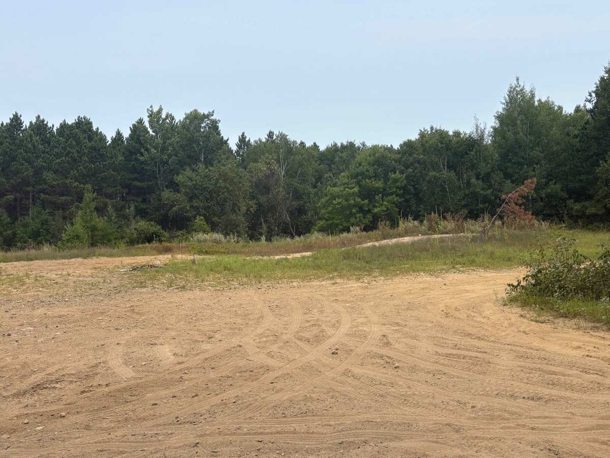 Hannah Ore Forest Road photo 6