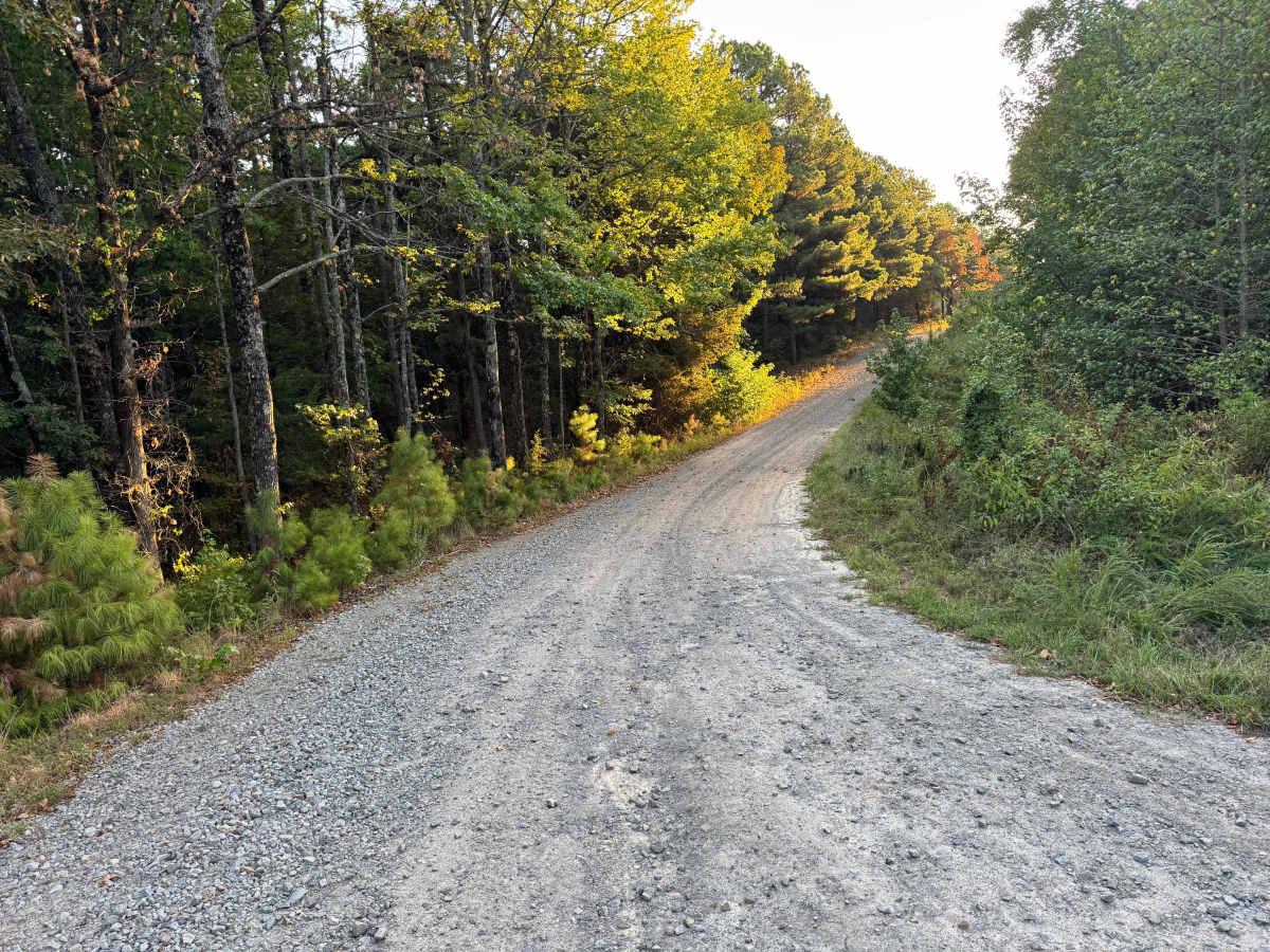 Gutter Rock Road trail photo
