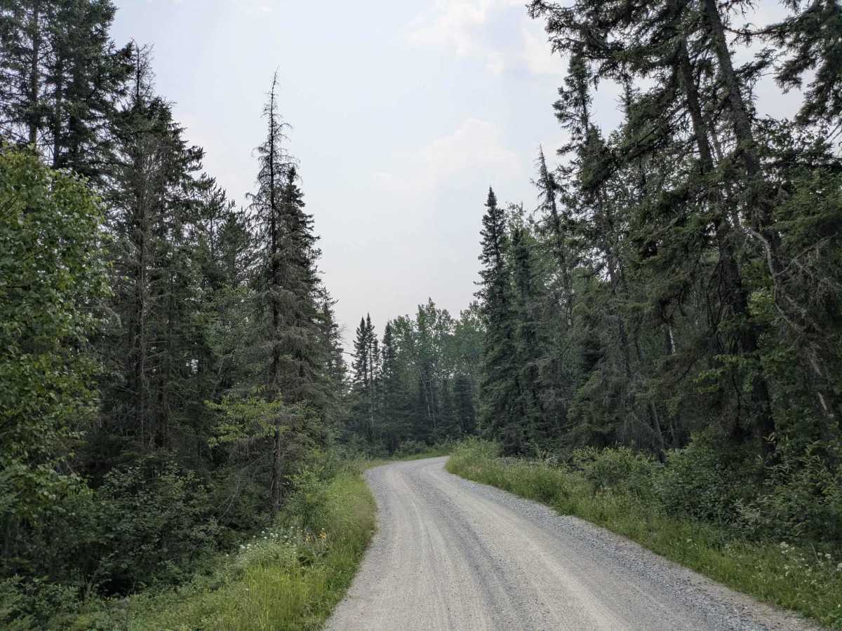 Beaver Farm trail photo
