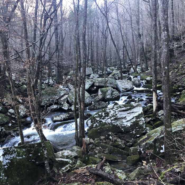 Near Laurel Falls and Buzzard Point