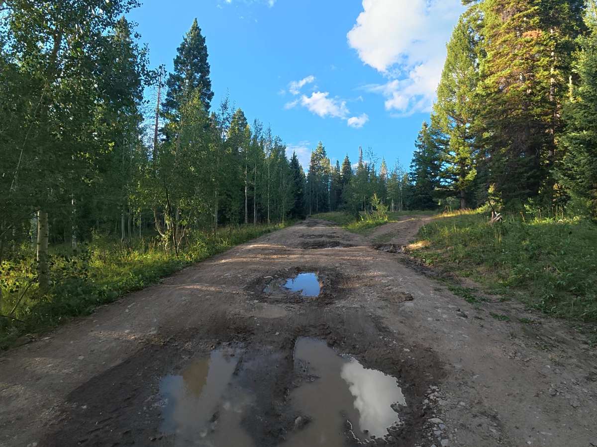 Elk Ridge Road - FS 248 photo 6