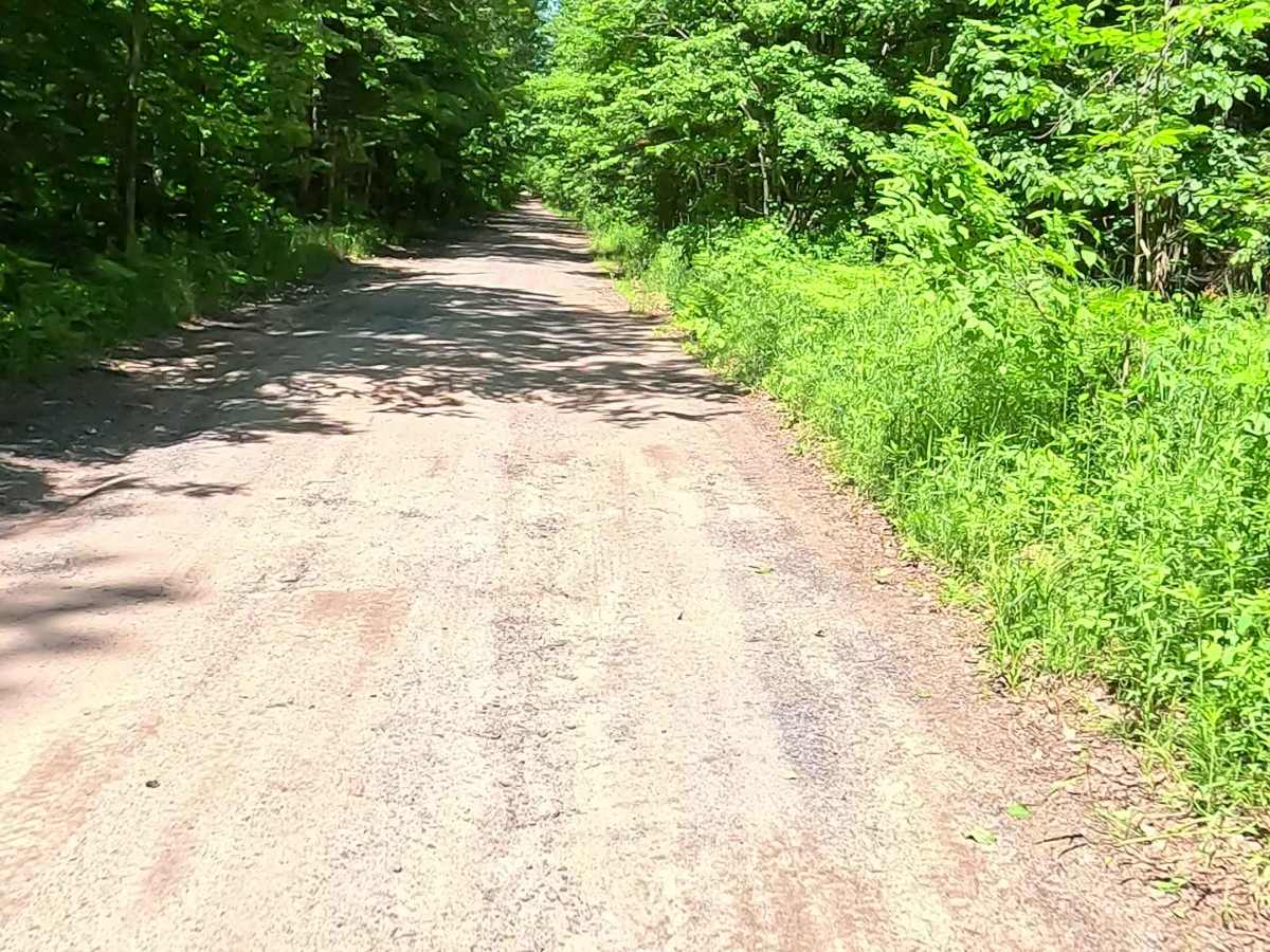 Pinery Road photo 5