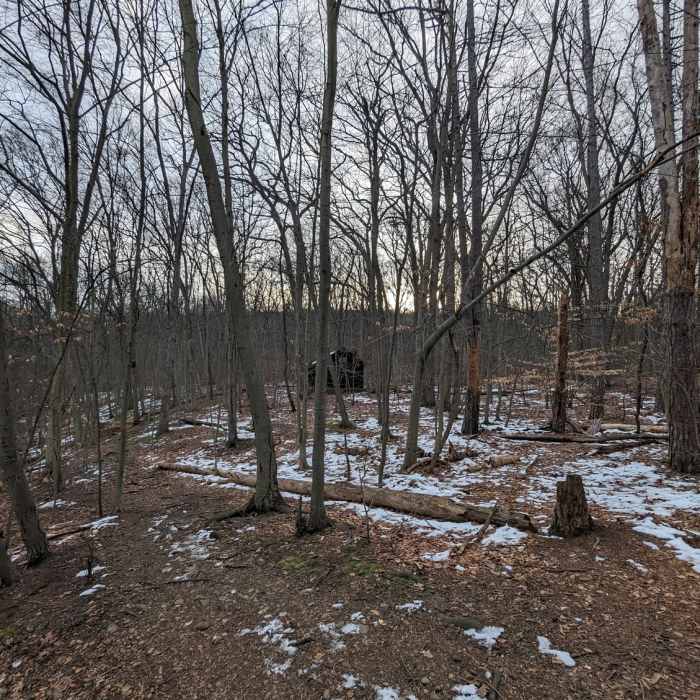 Near Lenape Trail