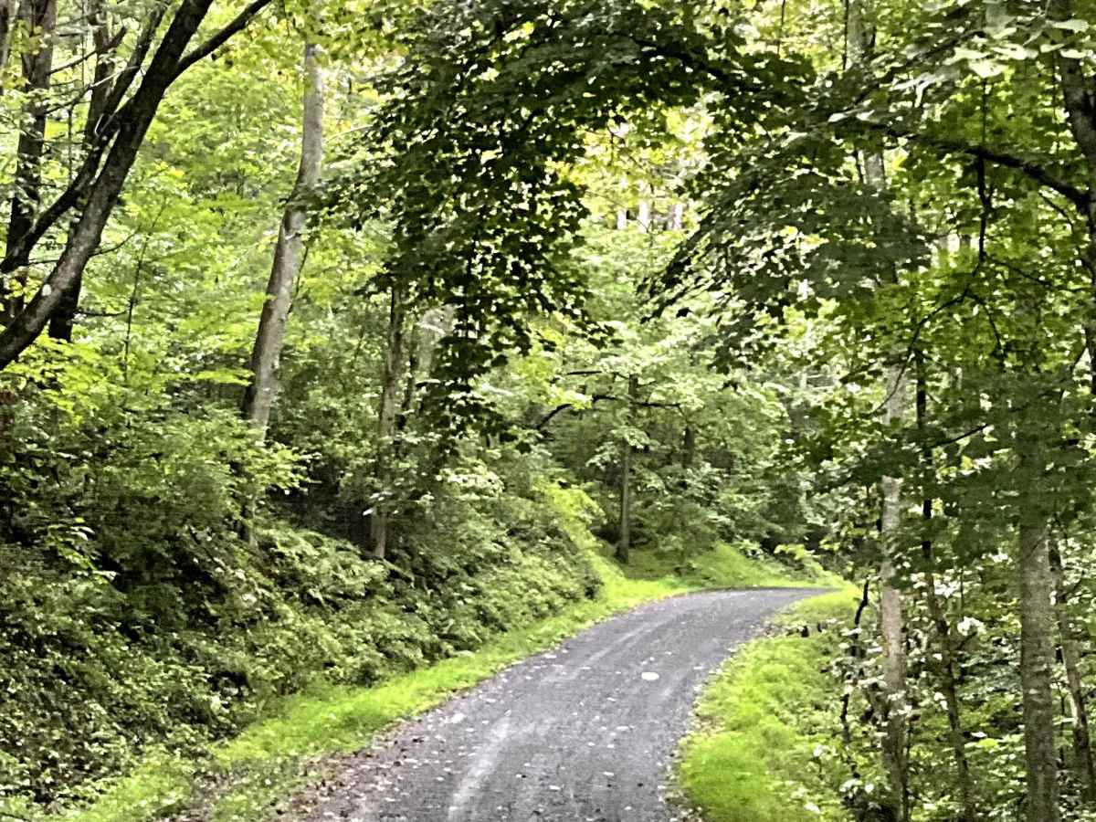 The Knob Road photo 2