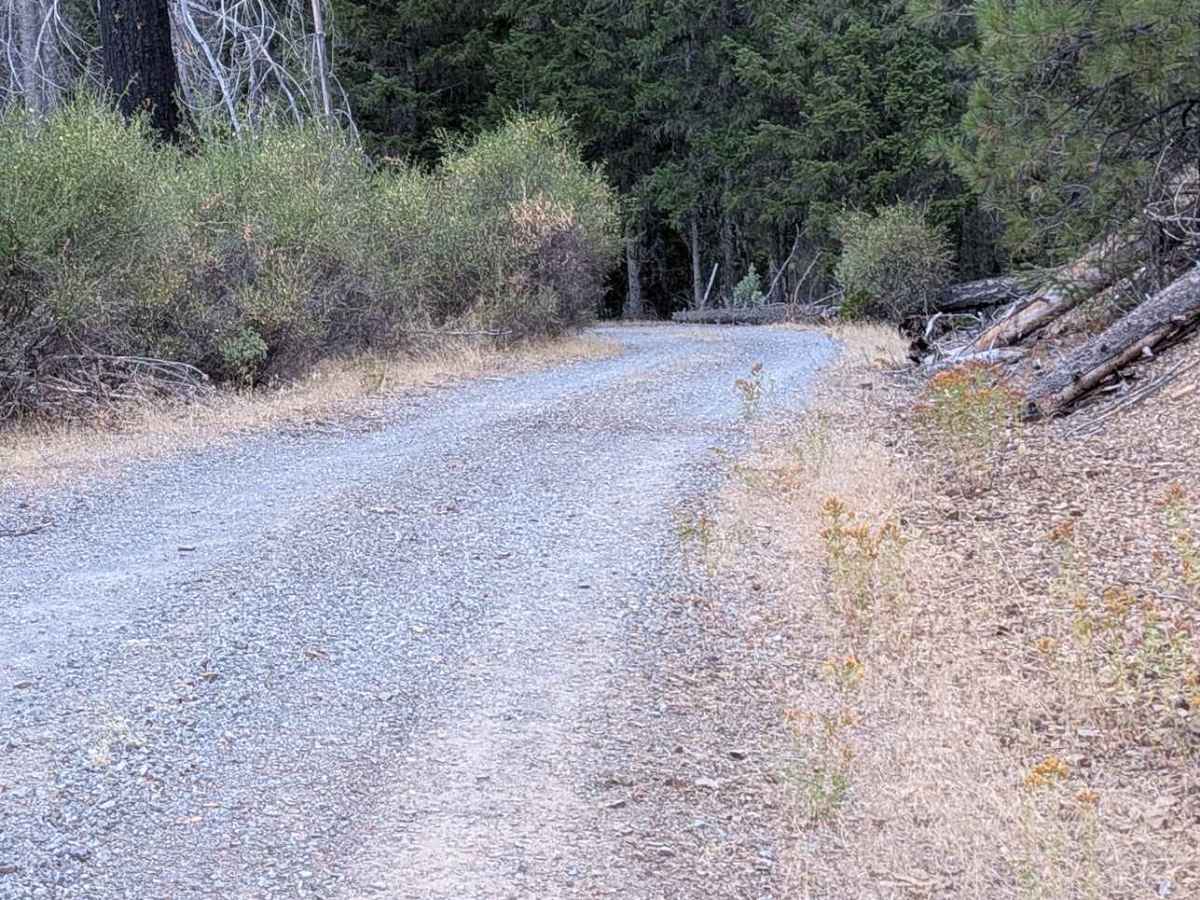 Potato Creek Road - FS 30N04  photo 6