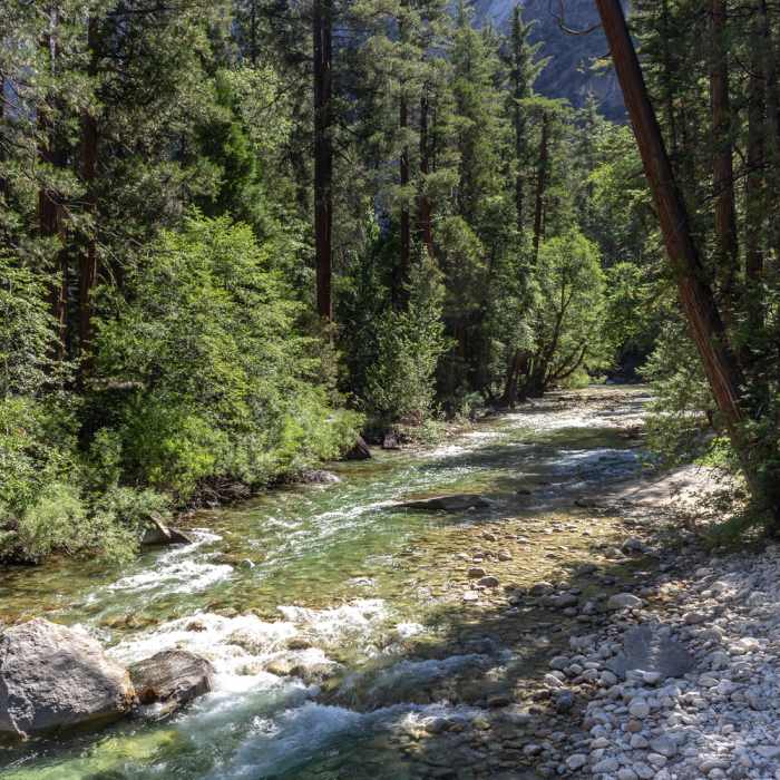 Near Bubbs Creek Trail