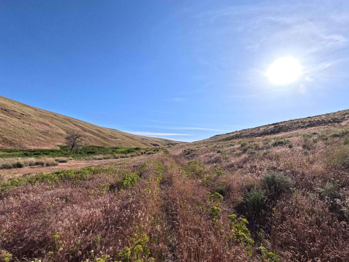 Hartman Creek Road photo 4