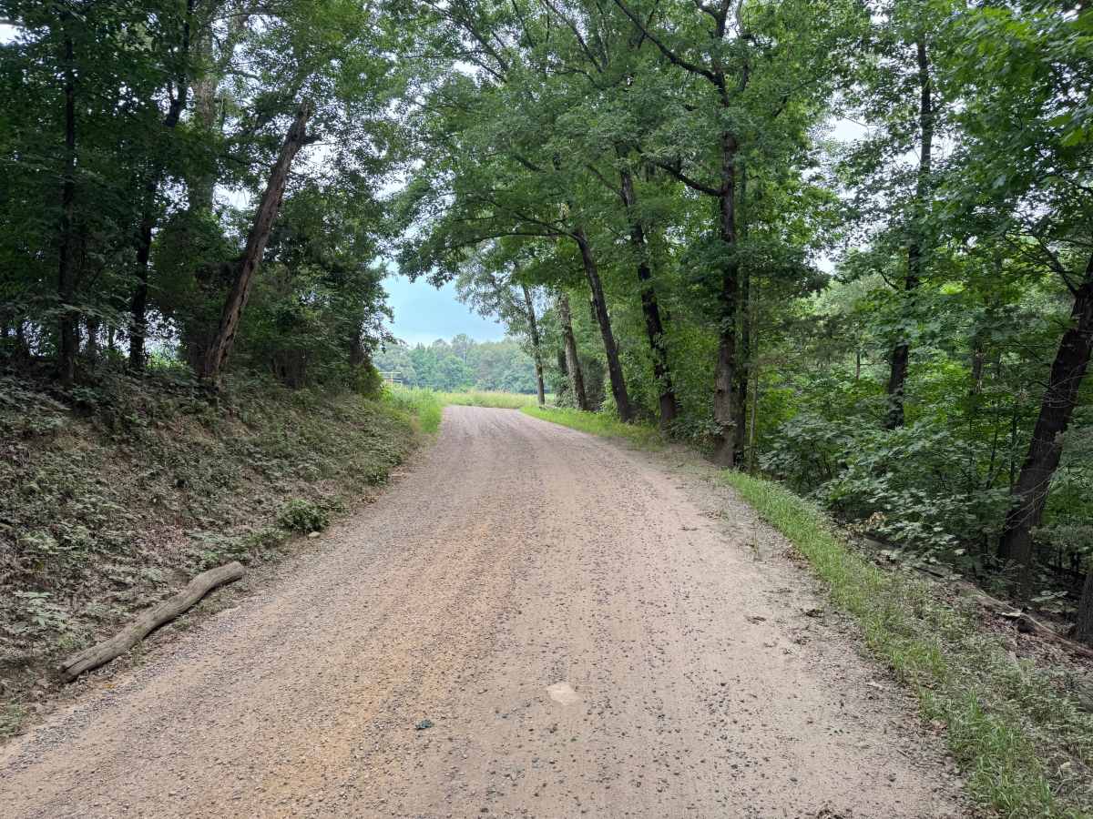 County Road 3190 photo 3