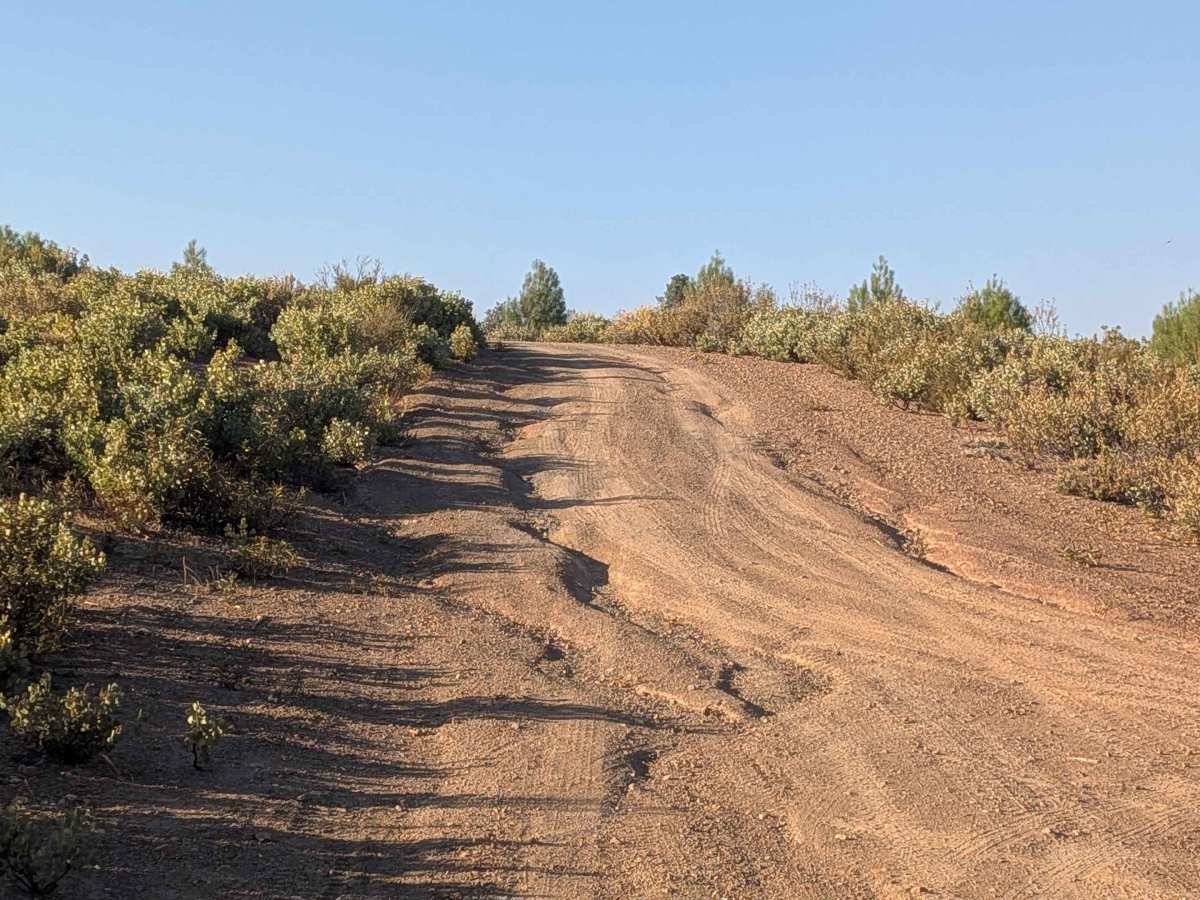 Ponderosa Way North - FS 3S02 photo 4