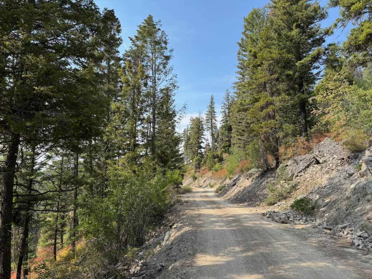 Gold Creek photo 5