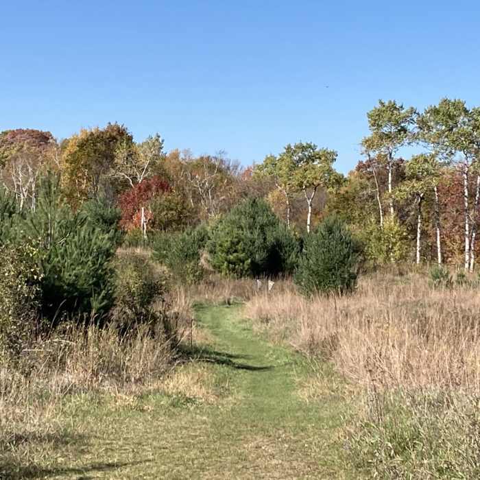 Near Southern Trails Loop