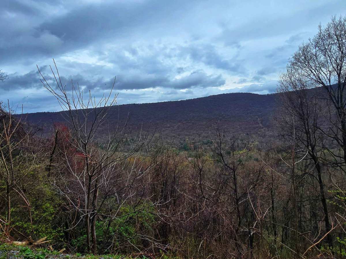 Elk Hill Road photo 5