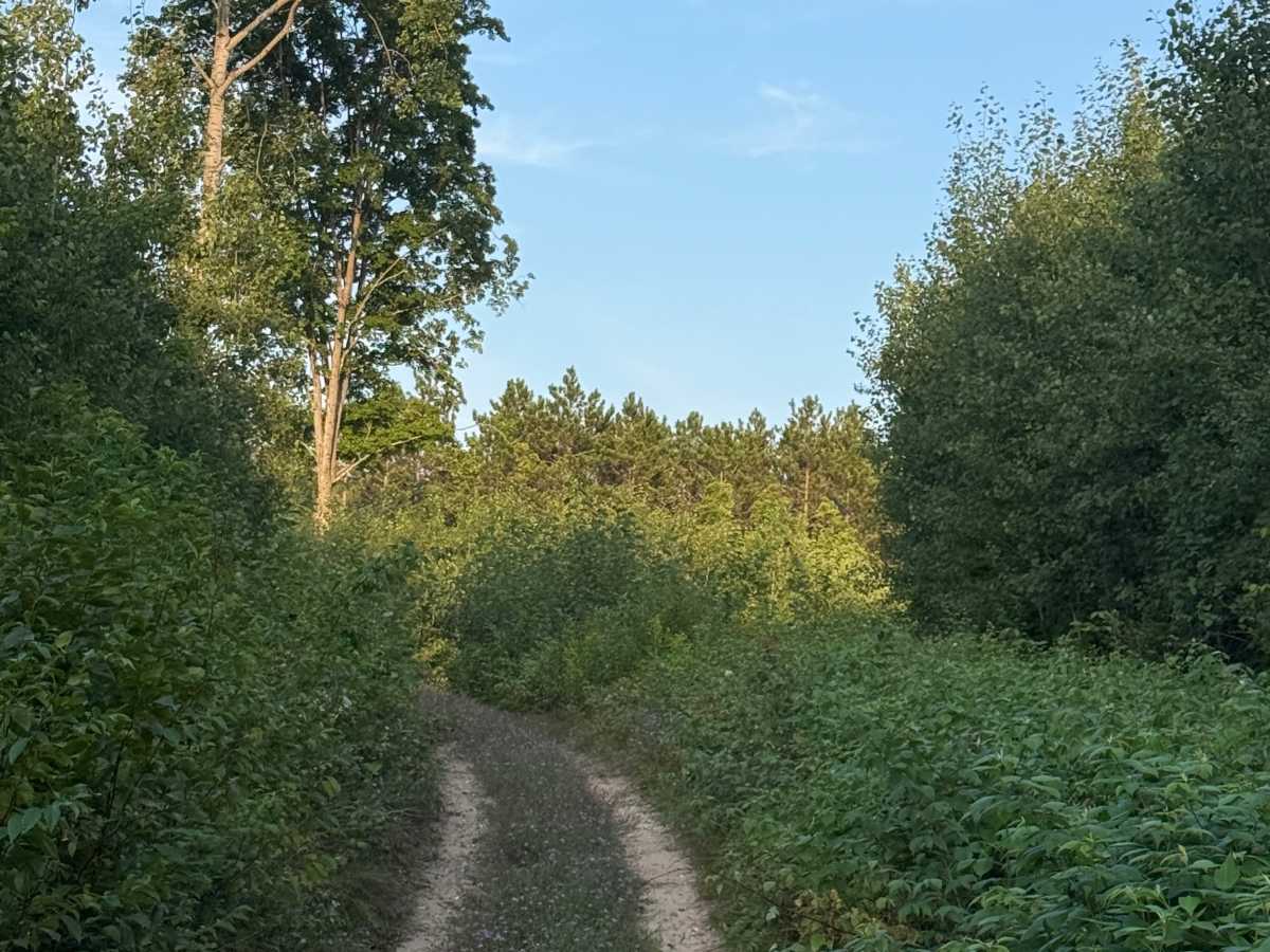 West 6-1/2 Road trail photo
