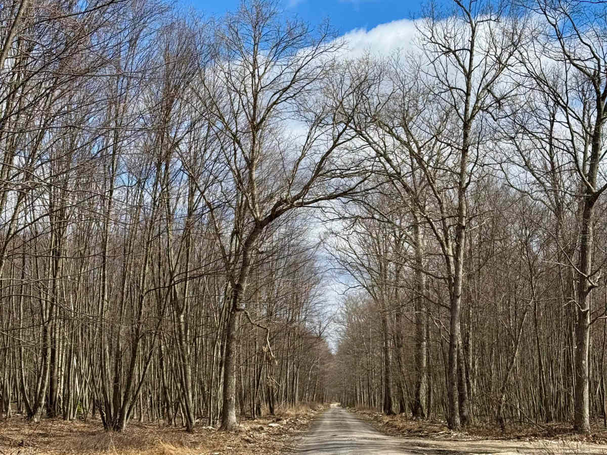 Jerry Ridge Road photo 5