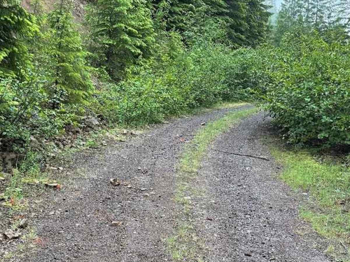 Line Road - FS 5403210 trail photo
