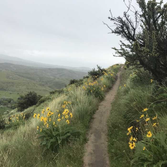 Near Polecat Loop Hike
