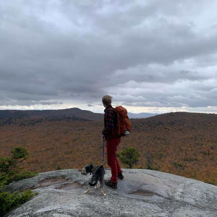 Near Wheeler Mountain