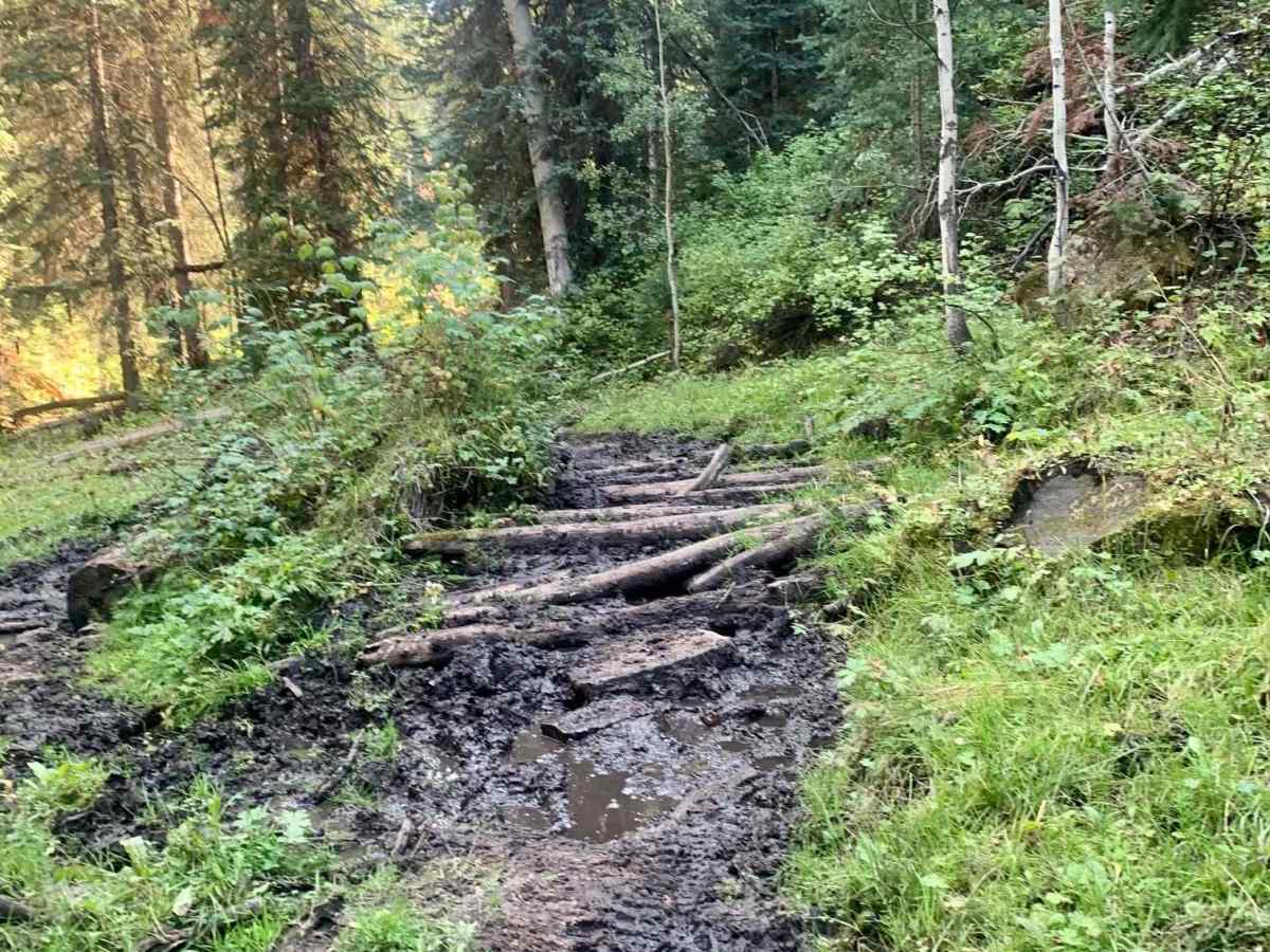 Big Creek Scout Trail photo 4
