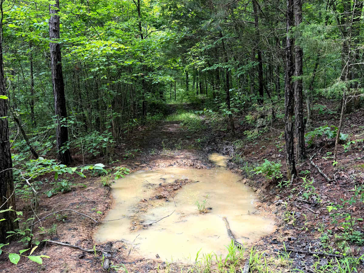 West Prong Passage photo 4