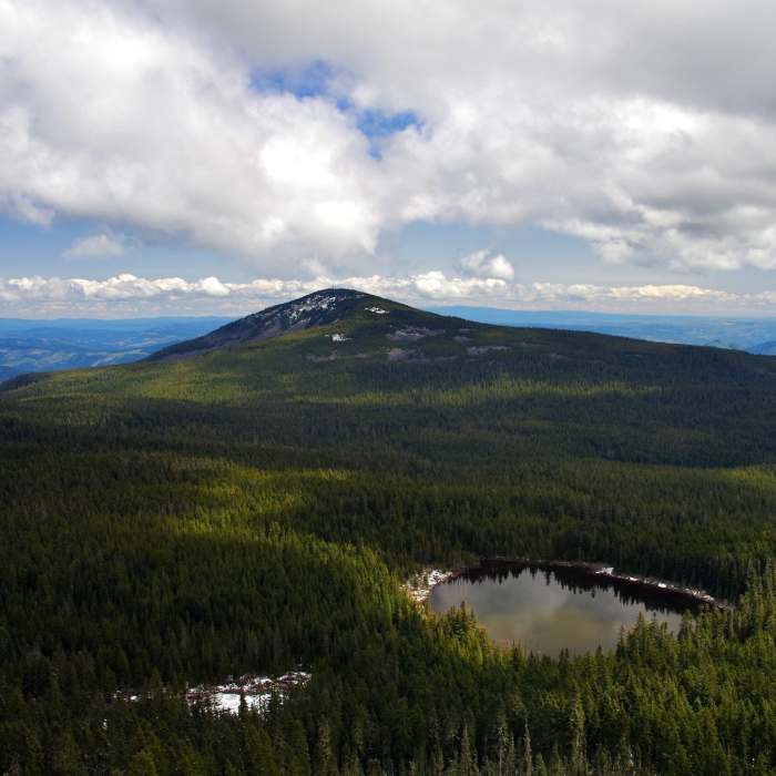 Near Green Point Ridge Trail #418