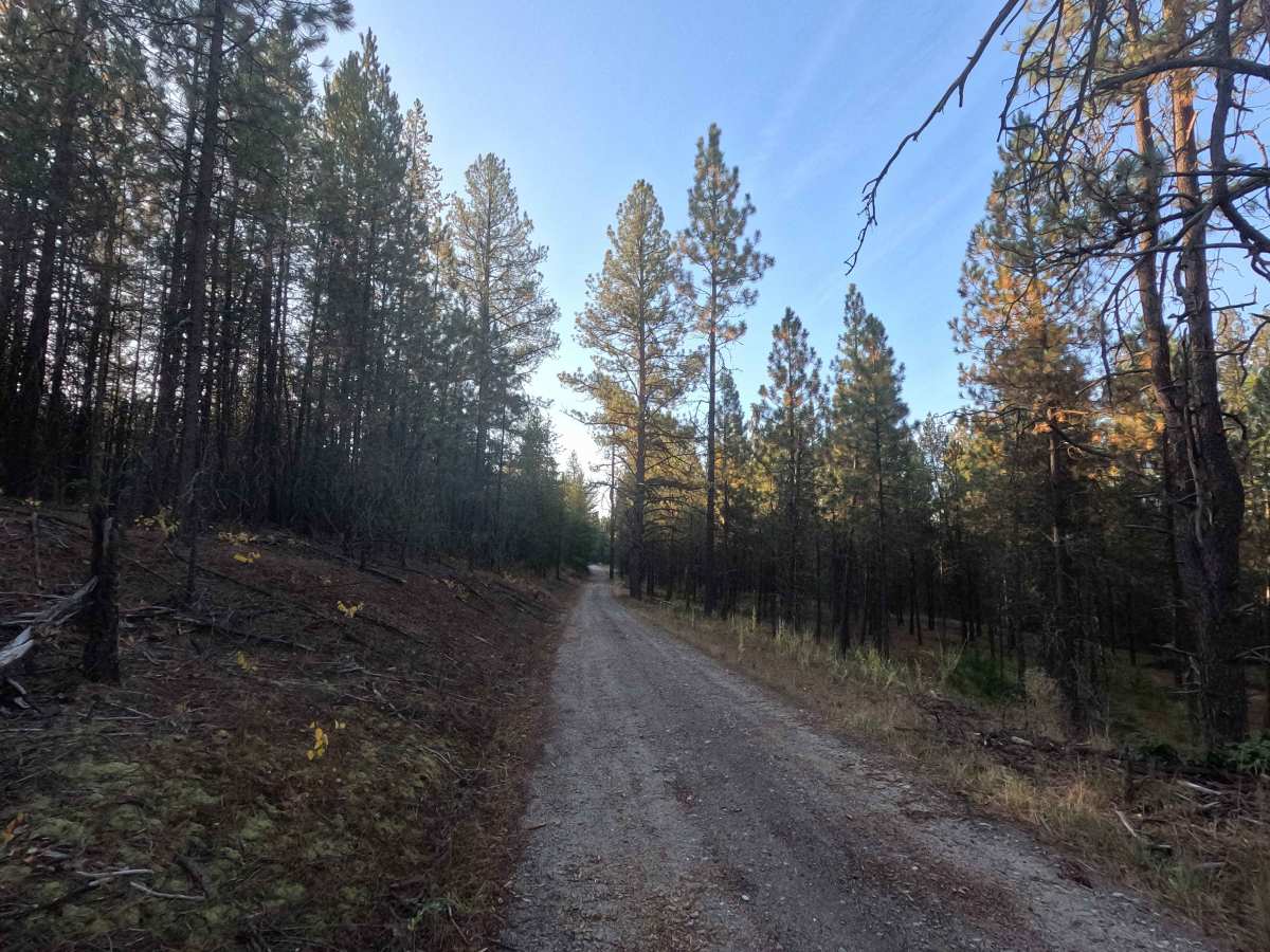 Starvation Lake Road photo 4